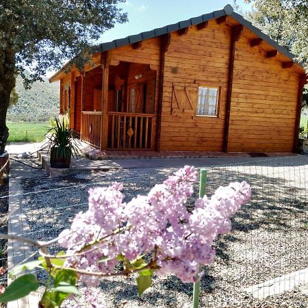 La Casa Del Estanque Βίλα Olocau del Rey Εξωτερικό φωτογραφία