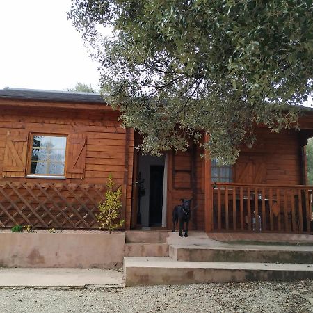 La Casa Del Estanque Βίλα Olocau del Rey Εξωτερικό φωτογραφία