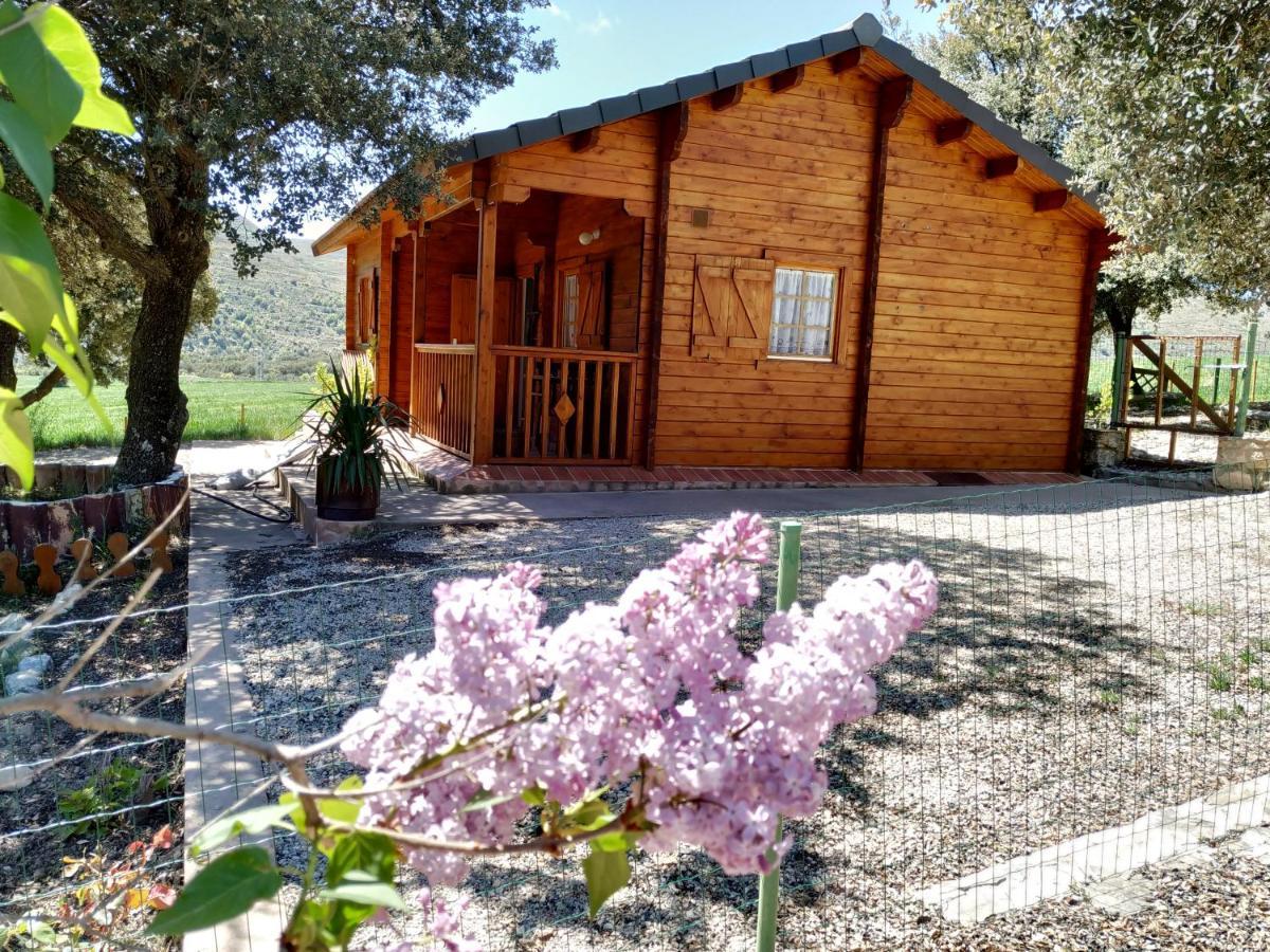 La Casa Del Estanque Βίλα Olocau del Rey Εξωτερικό φωτογραφία