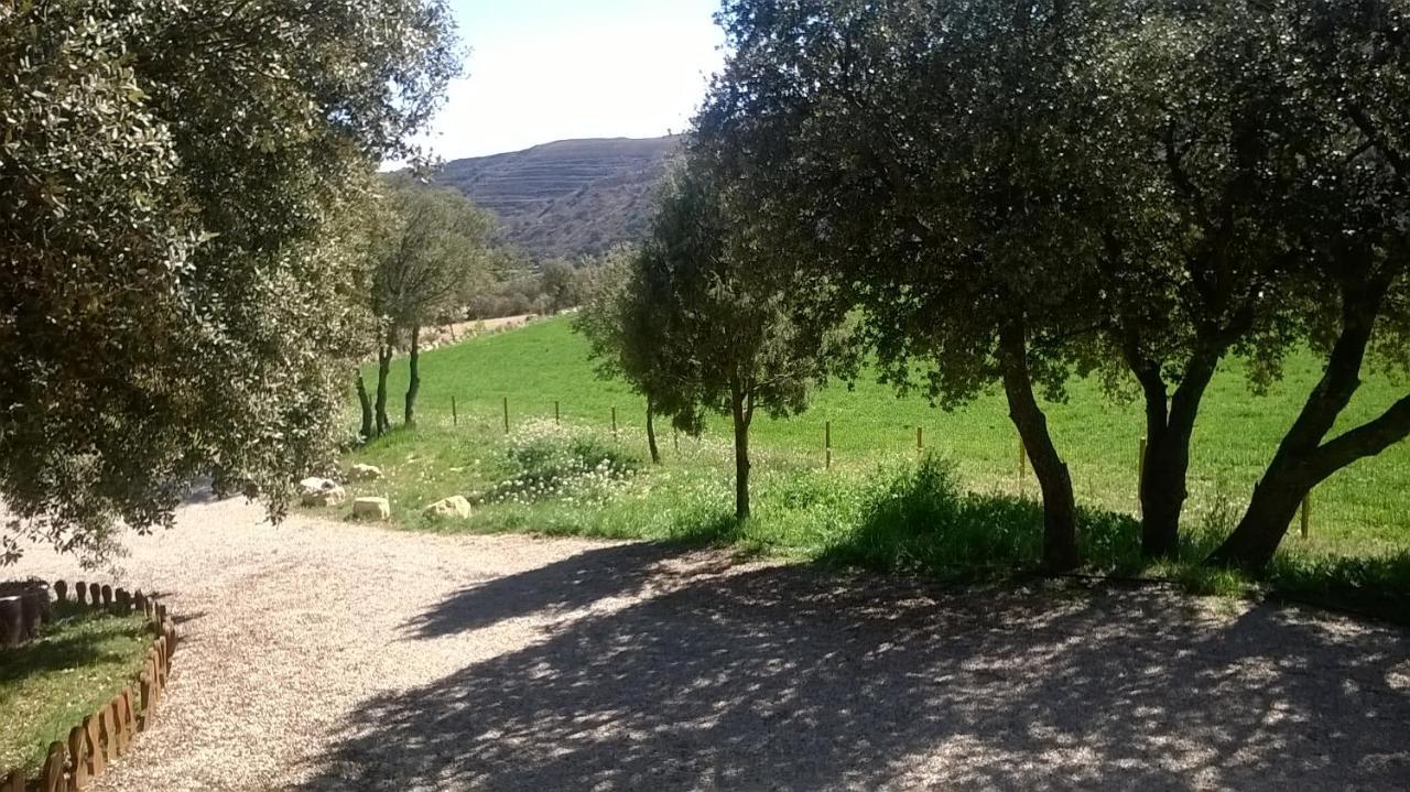 La Casa Del Estanque Βίλα Olocau del Rey Εξωτερικό φωτογραφία